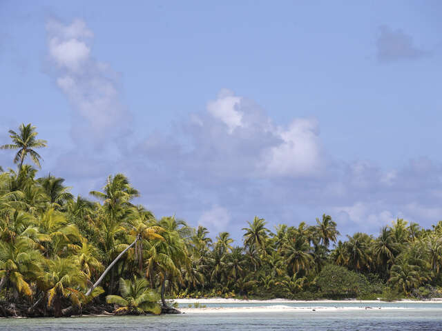 Le Lagon Bleu De Rangiroa