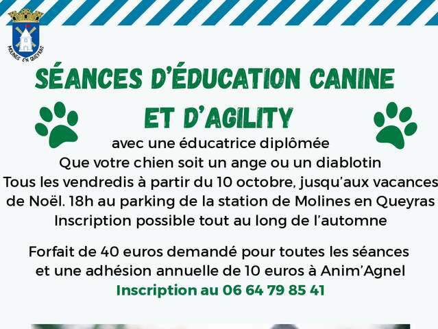 Séances d'éducation canine et d'agility