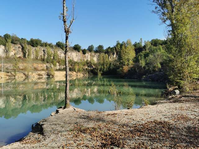 The Green Lake