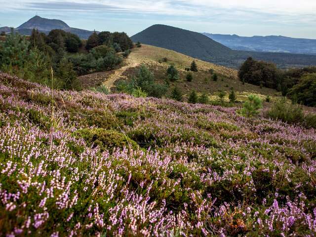 Les puys de Jumes, de la Coquille et des Gouttes