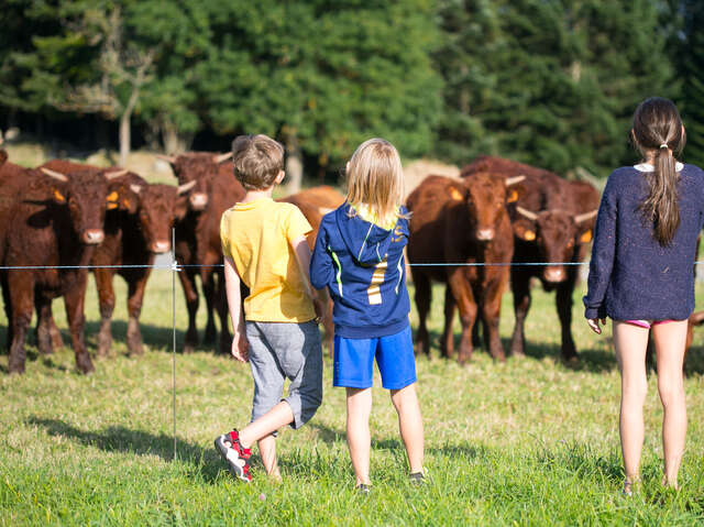 GAEC Salers et Bol d'Air