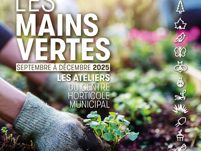 Chantier participatif : plantations d'arbres en forêt