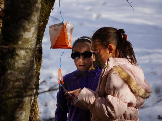 Orienteering