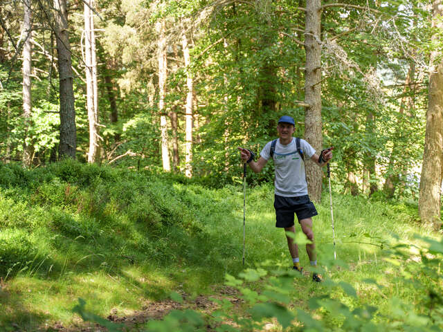 Trail des Hautes-Chaumes