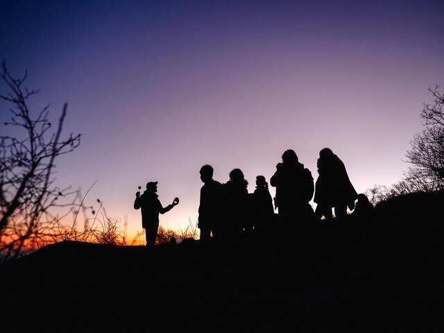 Nuit des étoiles d'hiver