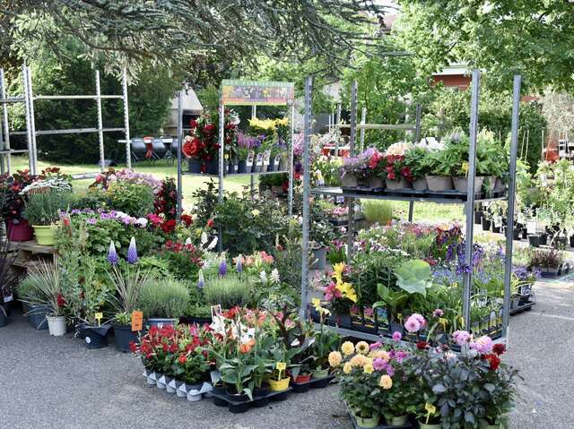 Fête du Printemps Anneyron