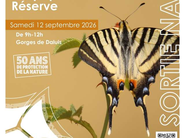 Les papillons de la Réserve