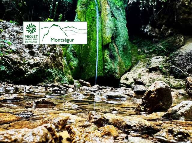Au fil de l’eau : paysage et biodiversité