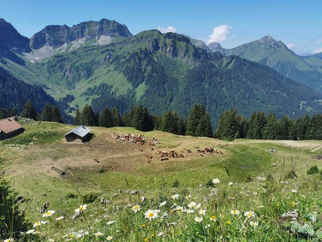 Itinéraire pédestre : Tour du Mont de Grange depuis Saint-Théodule
