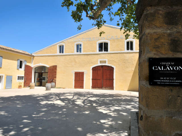 Château de Calavon