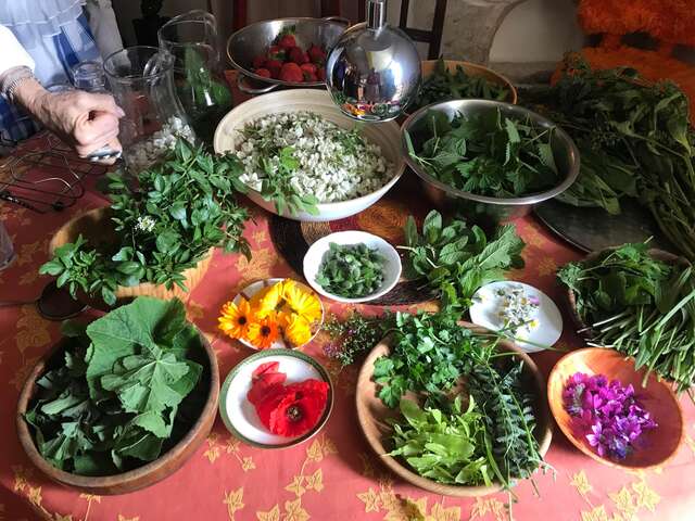 Les Aventurières du Goût - Ontdek de wilde bloemen en planten voor fijnproevers