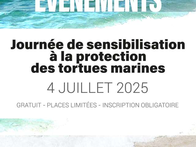 Les Grands Rendez-Vous du Parc : Journée de la Tortue Marine