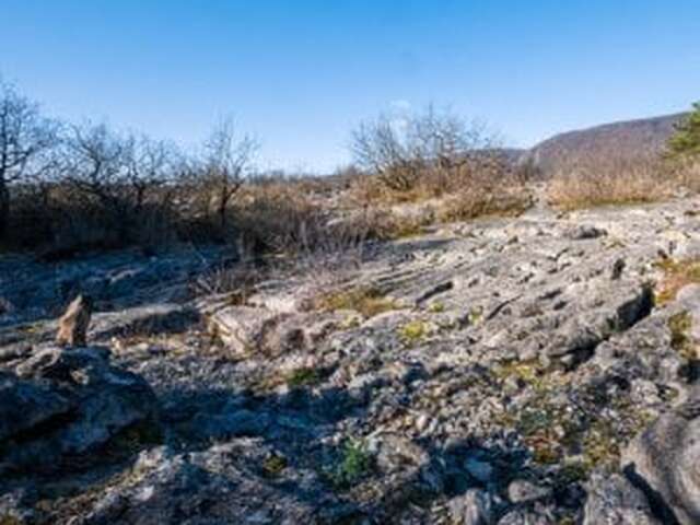Tous au Fierloz (à partir de 5 ans) - Maison du Marais de Lavours