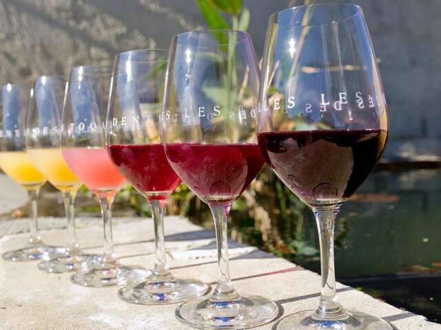 Wine tasting under hypnosis - Domaine La Ferme Saint-Martin