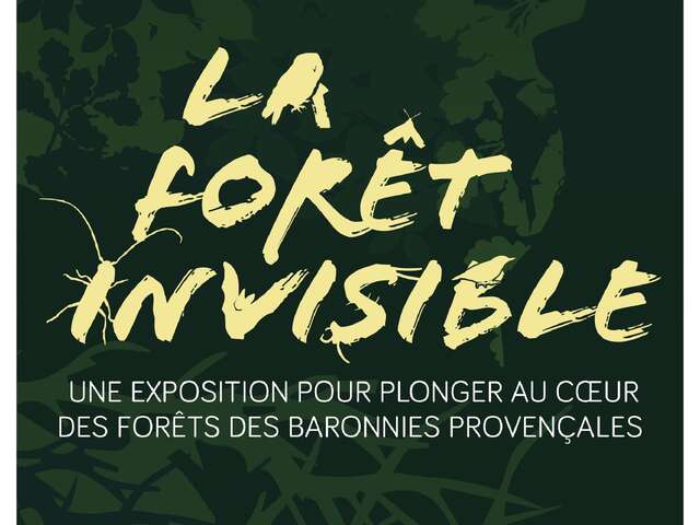 Der unsichtbare Wald