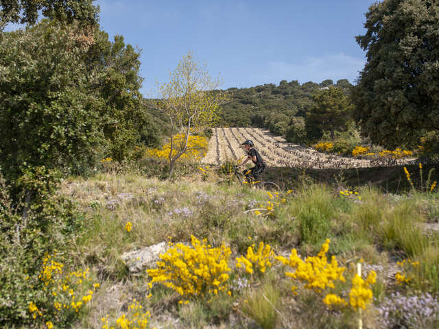 Vers le pays isolé par la route de la Viste en gravel