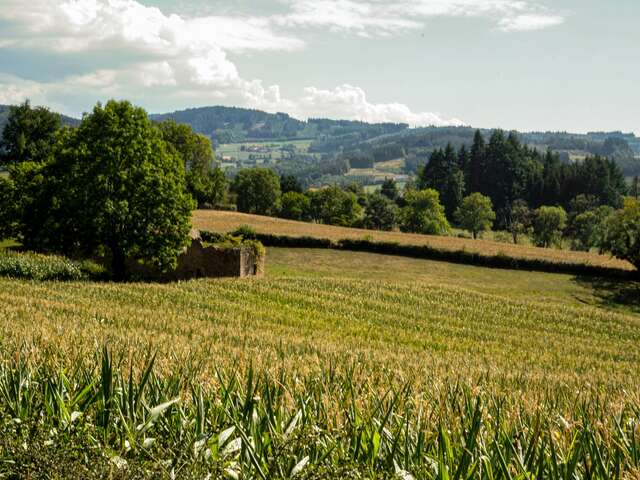 Parcours Trail Belmont 10 km