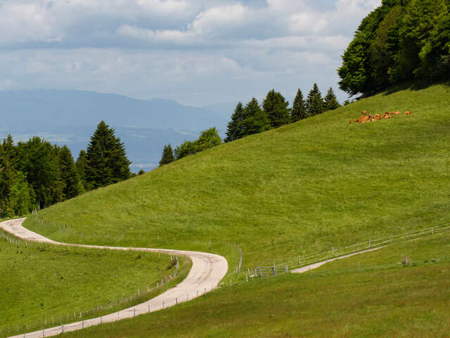 Cycling loop: Plateau des Bornes Nord