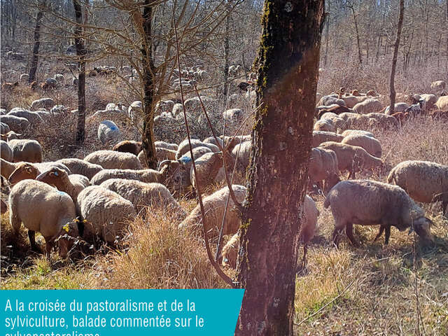 Rendez-vous du Parc au Broc
