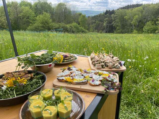 Taller de cocina con plantas comestibles