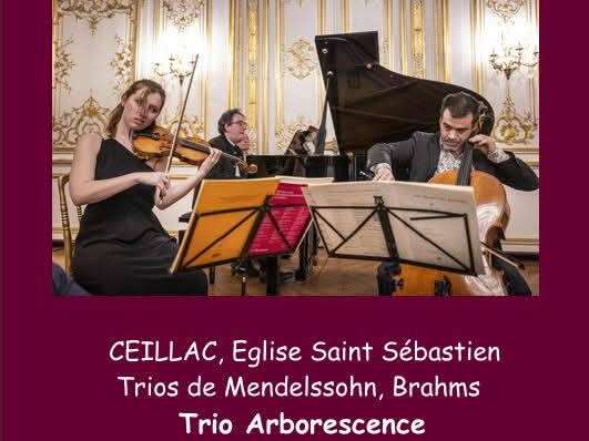Les musicales du jeudi : Trio Arborescence