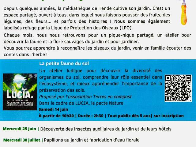 Activités au jardin partagé
