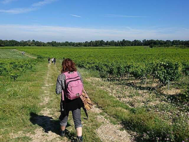 Sentier vigneron de la cave Canteperdrix