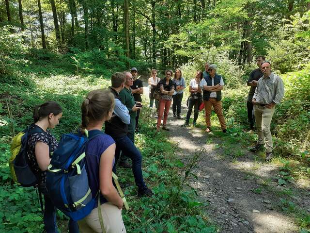 Sortie en forêt