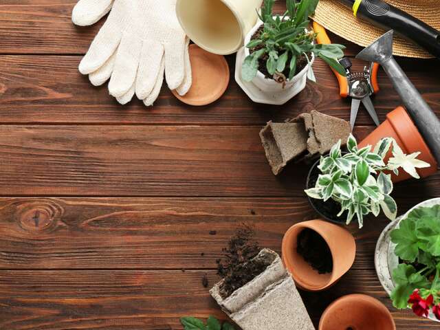 Get-togethers at the garden and seed library