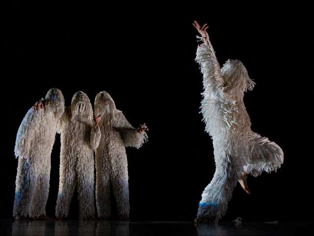 Spectacle de danse - A4 (comme la feuille)