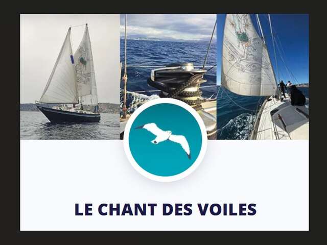Des Voiles et l'art