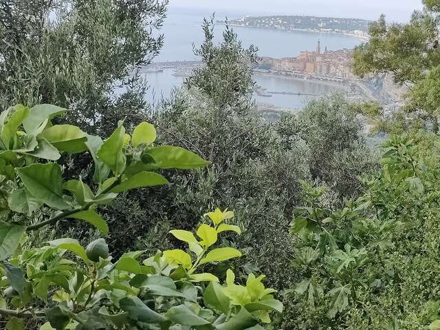 92ème Fête du Citron®  - Excursion sur coteau terrassé et captages d'eau traditionnels
