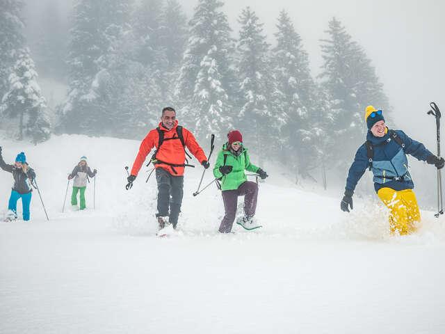 Pincerie - Crêt du boeuf