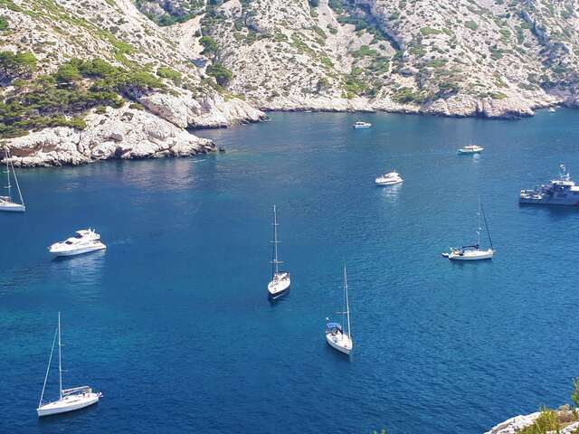 Coquillages, vin blanc et calanques en bateau électrique