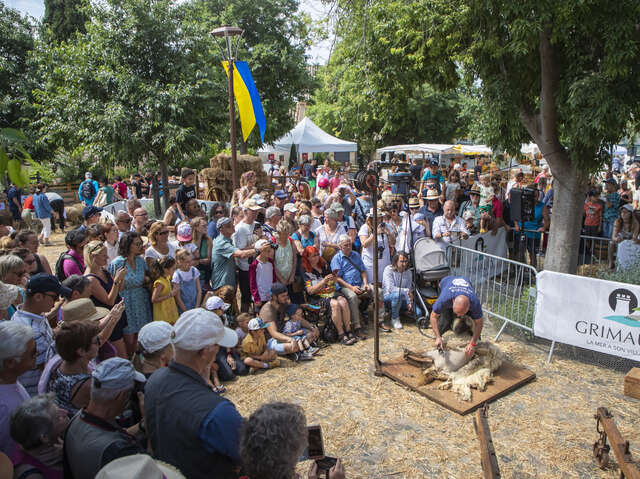 Foire de la Laine