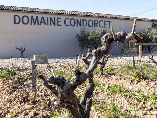 Oenotourisme au Domaine Condorcet
