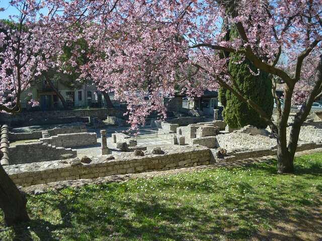 Guided tours of the ancient site of Puymin