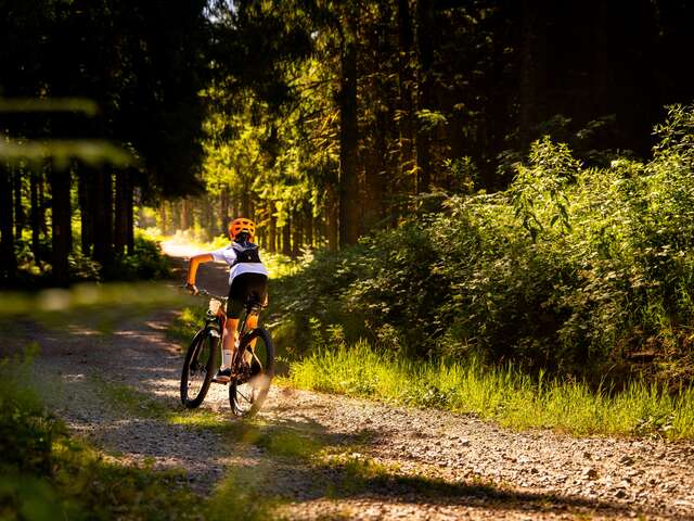 N° 57 - Le circuit pour la famille - Espace VTT-FFC Massif de Bois Noirs