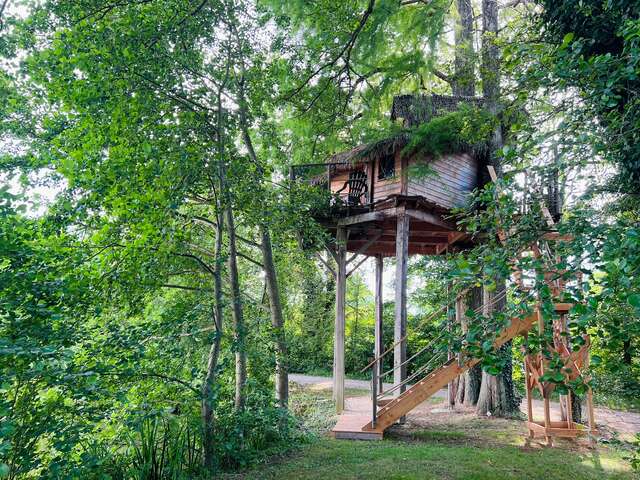 Cabane perchée les Écureuils - DDLD