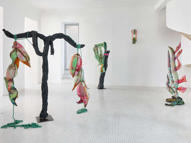 Exposition « Fuegophillia », d’Amandine Guruceaga