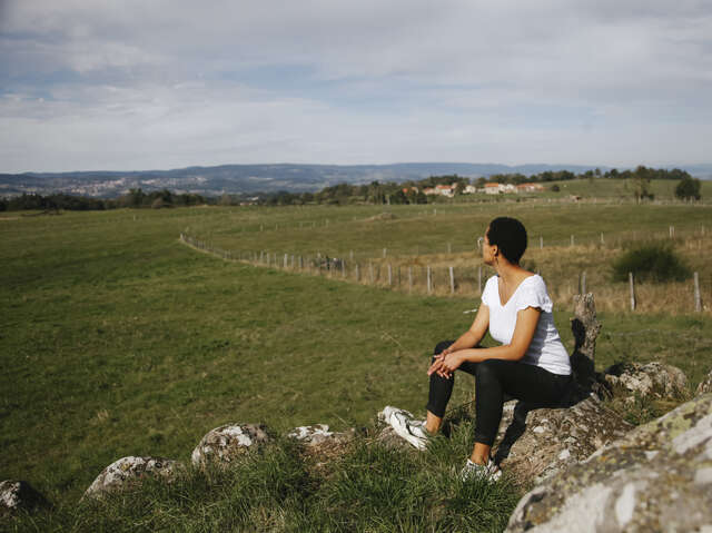 Parcours trail Le chemin des vignes
