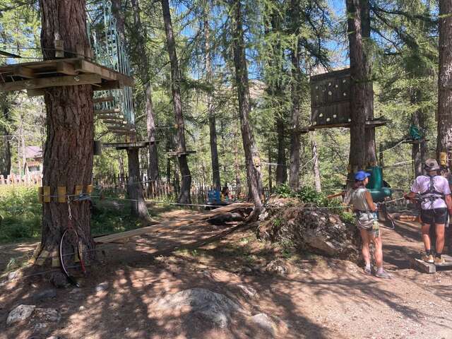 Tree climbing course