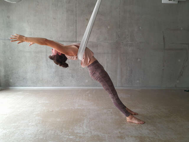 Ateliers de Yoga aérien