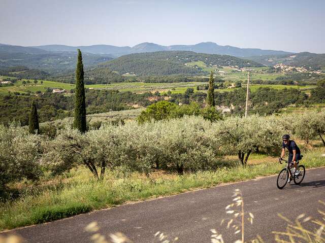 Sortie accompagnée à vélo électrique sur les balcons du Ventoux.