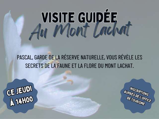 Visite de l'exposition Détails du vivant au Lachat