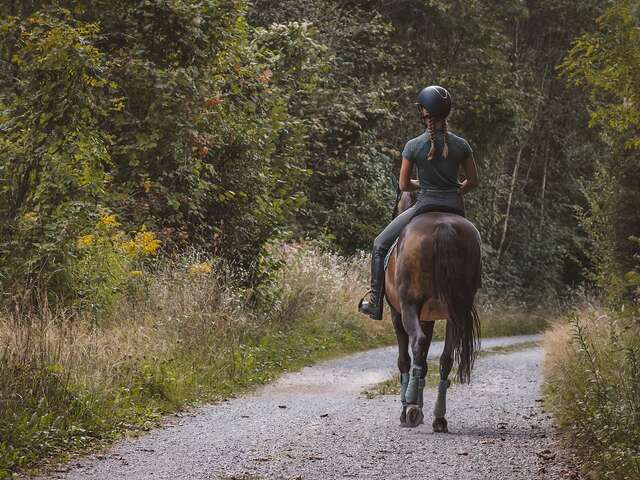 Circuits équestre autour d'Usson-en-Forez