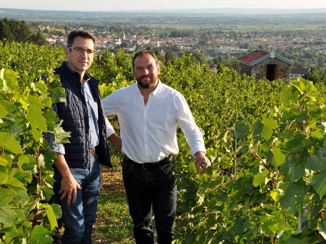 Domaine Désormière - Eric et Thierry Désormière