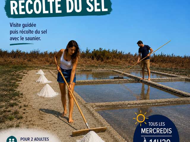 Taller para adultos: Recolección de sal con el Ecomuseo de las Salinas