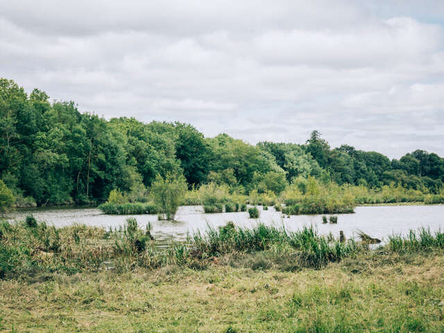 Marais de Montreuil-Juigné