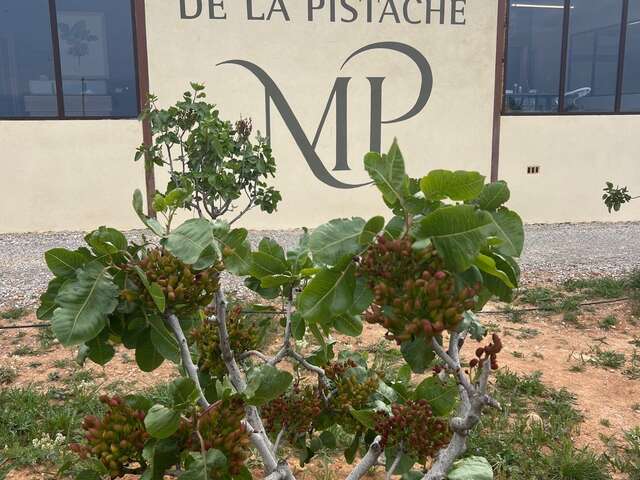 La Maison de la Pistache